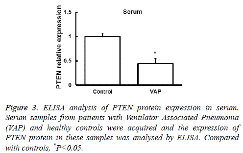 biomedres-protein-expression