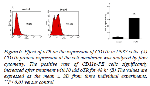 biomedres-protein-expression