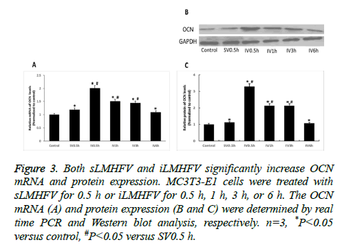 biomedres-protein-expression