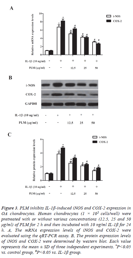 biomedres-protein-expression