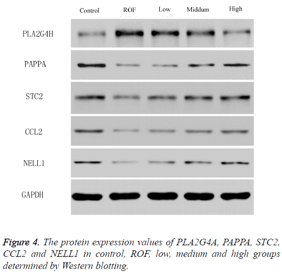 biomedres-protein-expression-values