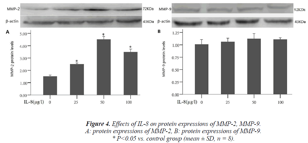 biomedres-protein-expressions