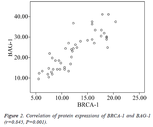 biomedres-protein-expressions