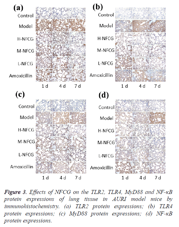 biomedres-protein-expressions