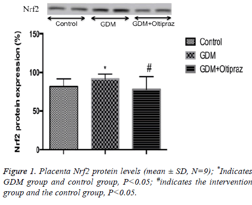 biomedres-protein-levels