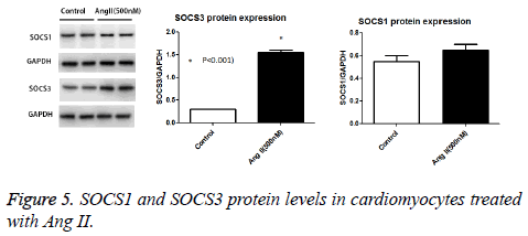 biomedres-protein-levels