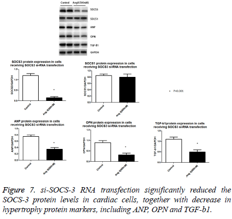 biomedres-protein-levels