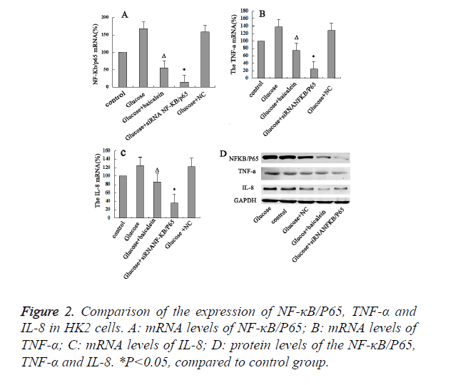 biomedres-protein-levels