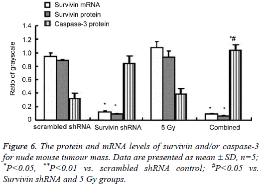 biomedres-protein-mRNA-levels