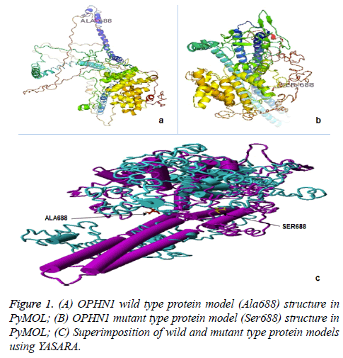 biomedres-protein-model