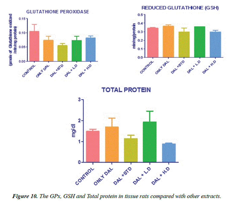 biomedres-protein-tissue-rats