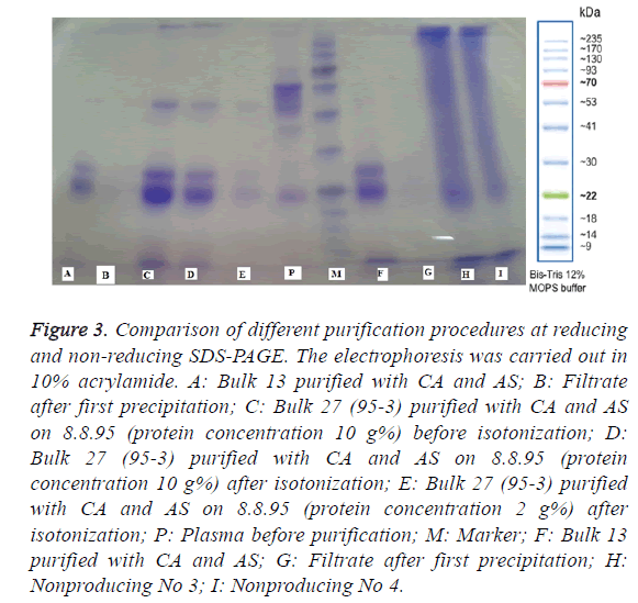 biomedres-purification-procedures