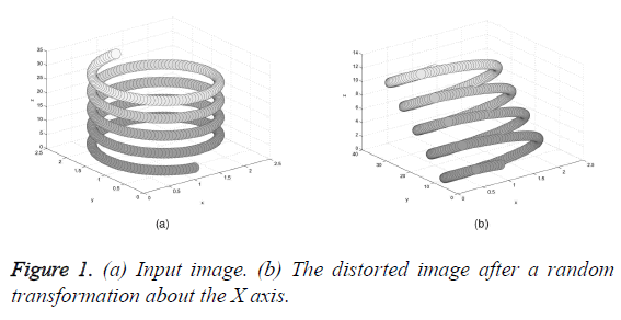 biomedres-random-transformation