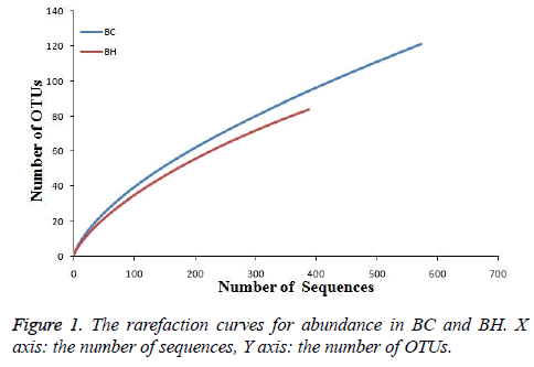 biomedres-rarefaction-curves