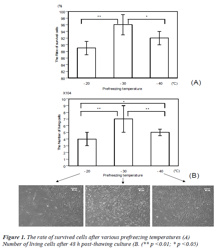 biomedres-rate-survived-cells-after-various-prefreezing-temperatures