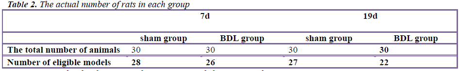 biomedres-rats-each-group