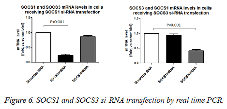 biomedres-real-time-PCR