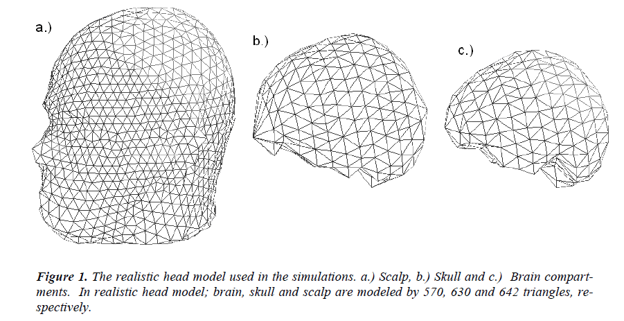 biomedres-realistic-head-model