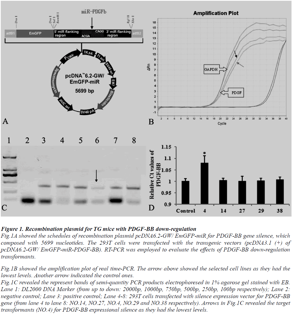 biomedres-recombination-plasmid