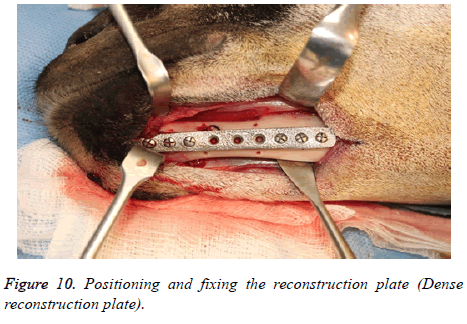 biomedres-reconstruction-plate