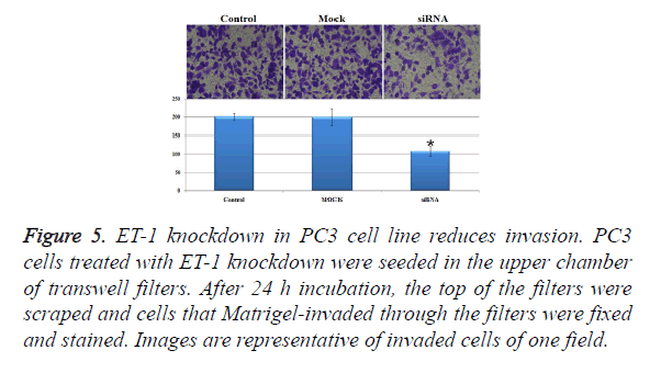 biomedres-reduces-invasion