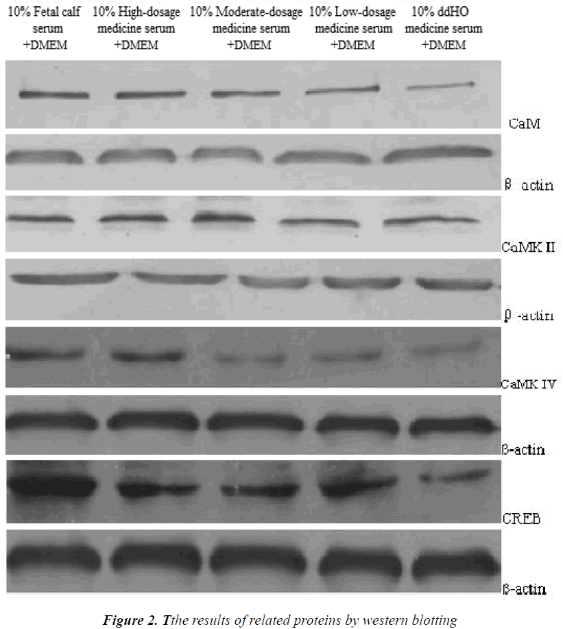 biomedres-related-proteins