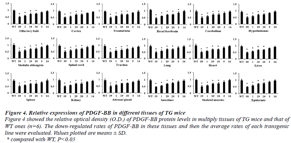 biomedres-relative-expressions