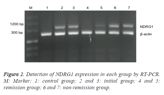 biomedres-remission-group