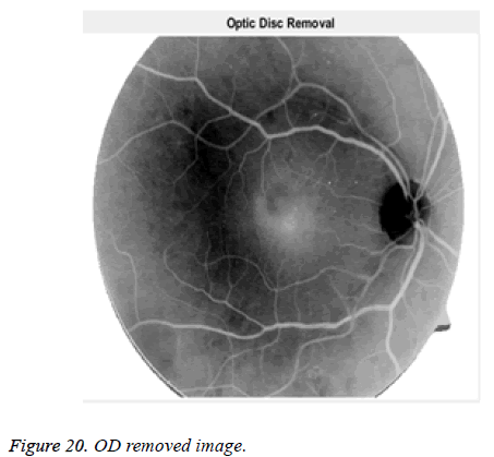 biomedres-removed-image