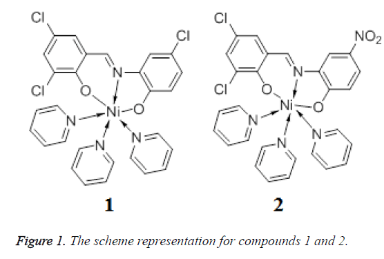 biomedres-representation-compounds