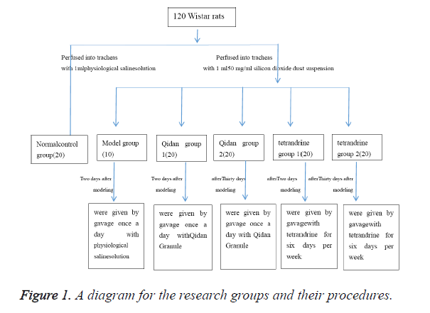 biomedres-research-groups