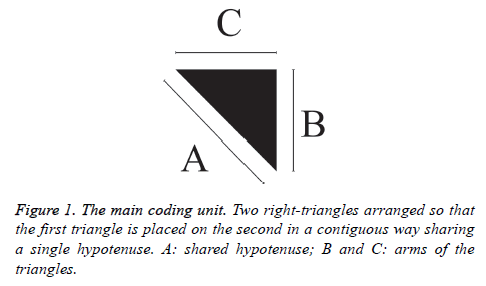 biomedres-right-triangles