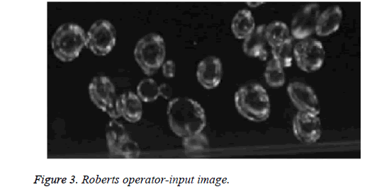 biomedres-roberts-operator