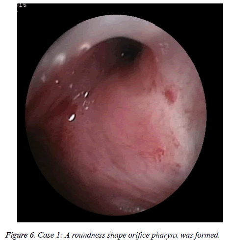 biomedres-roundness-shape