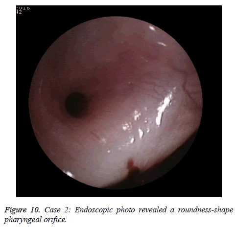 biomedres-roundness-shape