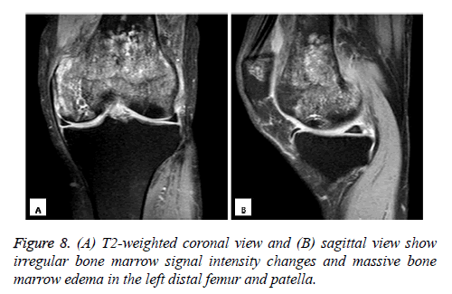 biomedres-sagittal-view