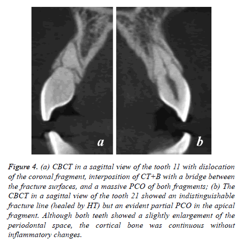 biomedres-sagittal-view