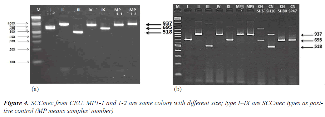 biomedres-same-colony