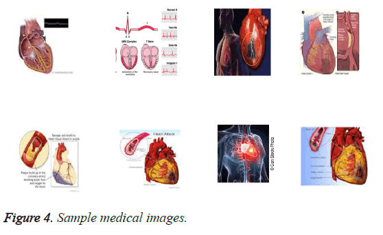 biomedres-sample-medical-images