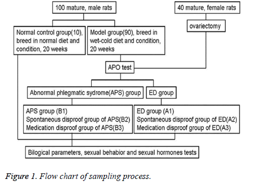 biomedres-sampling-process