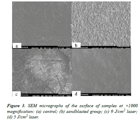 biomedres-sandblasted-group