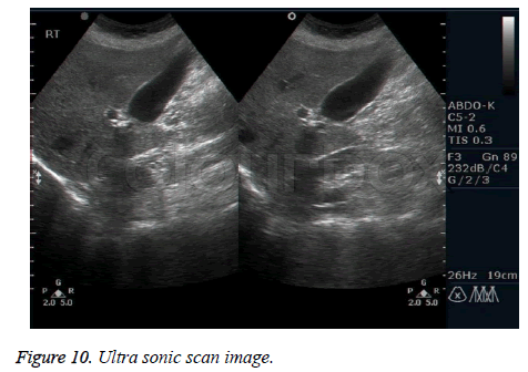 biomedres-scan-image