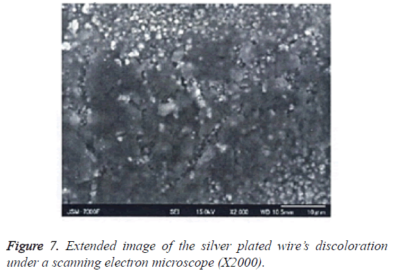 biomedres-scanning-electron-microscope