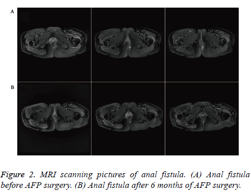 biomedres-scanning-pictures