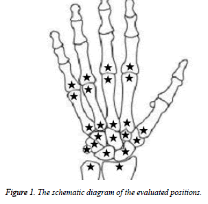 biomedres-schematic-diagram