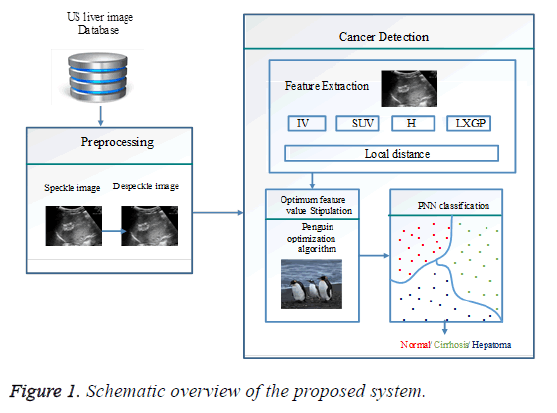 biomedres-schematic-overview