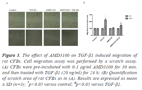 biomedres-scratch-assay