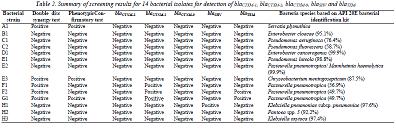 biomedres-screening-results-bacterial-isolates