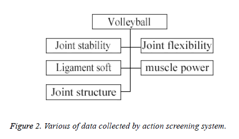 biomedres-screening-system