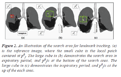 biomedres-search-area